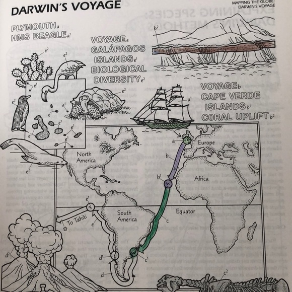 The Human Evolution Coloring Book - Picture 4 of 5